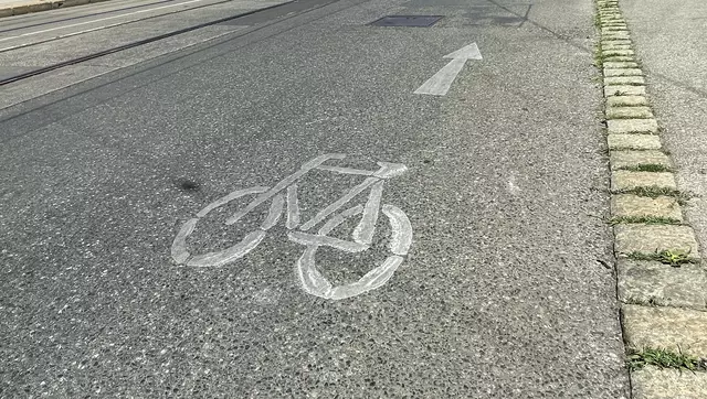 Am Alsergrund gibt es laut VCÖ 161 Problemstellen für Radfahrer. (Symbolfoto) | Foto: Stadt Wien/Christian Fürthner