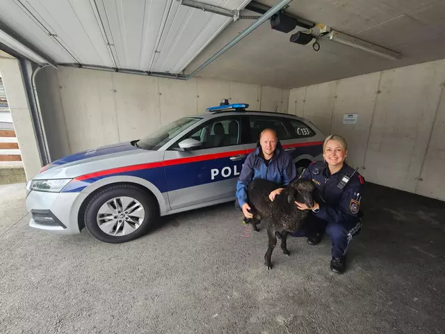 Lisa und Philipp von der PI Strass i. Z. fingen die freilaufenden Tiere ein.  | Foto: Polizei 