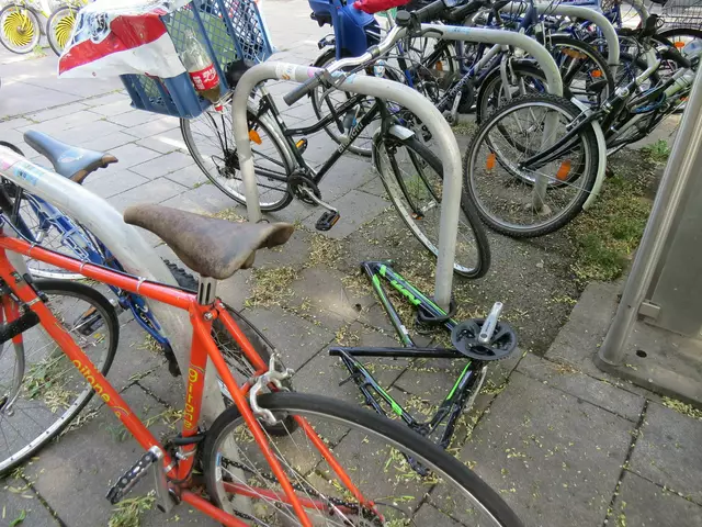 Kritisiert werden durch "Fahrradleichen" belegte Stellplätze. (Symbolfoto) | Foto: Krammer