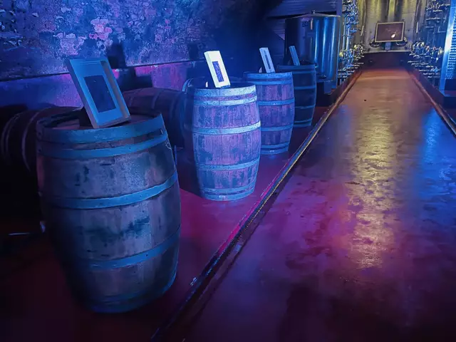 Seit drei Jahrhunderten ist der Gewölbekeller der Hofkellerei in Wilfersdorf. | Foto: LT-Direktion NÖ / Schultes