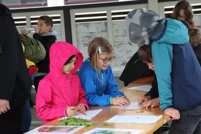Beim Erlebnistag am Bauernhof und in den Betrieben erfuhren die Kinder auch viel über Kräuter, die auf den Wiesen vor der Haustür wachsen.  | Foto: Edith Ertl