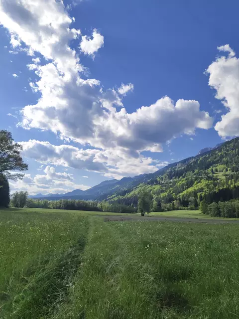 Die Gemeinden der Region passen sich an die sich ändernden Klimaverhältnisse an.  | Foto: MeinBezirk