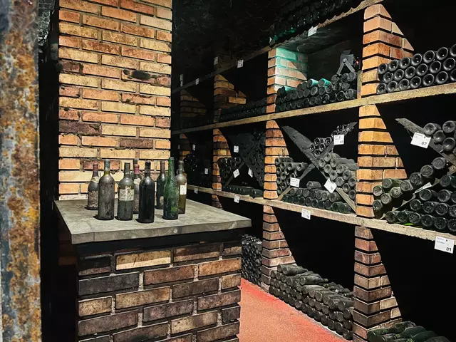 Die Gäste konnten tief in die Welt der Hofkellerei des Fürsten eintauchen. | Foto: LT-Direktion NÖ / Schultes