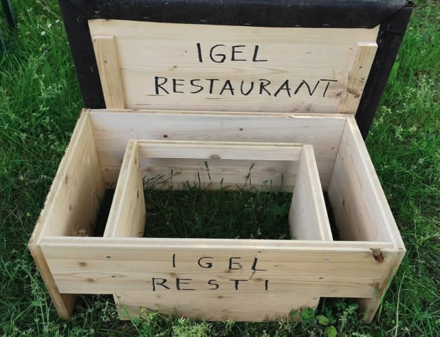 Auch Igel brauchen oft die Unterstützung von den Menschen. | Foto: zVg