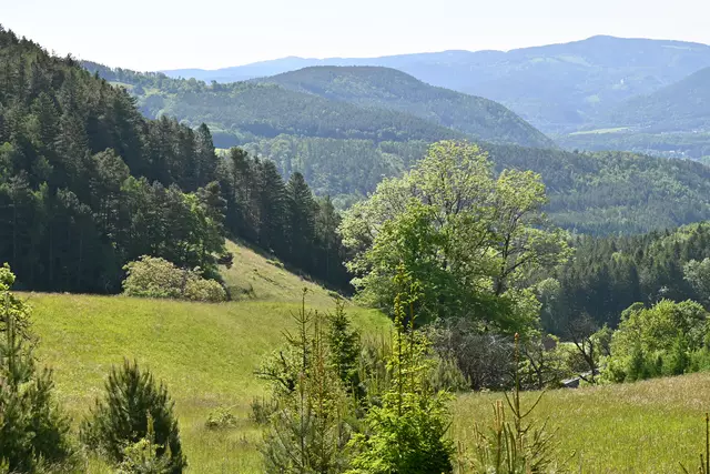 Oberhalb von Obertal