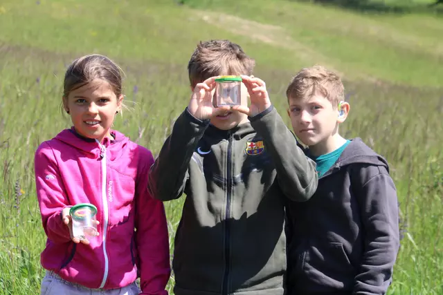 Besonders großen Eifer zeigten die Schüler:innen bei der Insektensuche mit der Becherlupe. 
 | Foto: LPV/F. Hohn