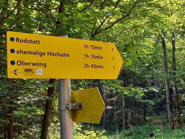 Foto: H.Bachinger 