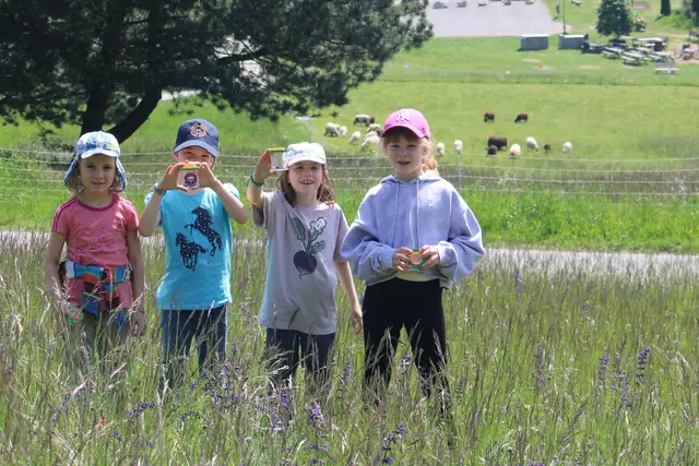 Die erfolgreiche Insektensuche mit der Becherlupe zeigte, wie artenreich die Gießhübler Heide ist.  | Foto: LPV/F. Hohn