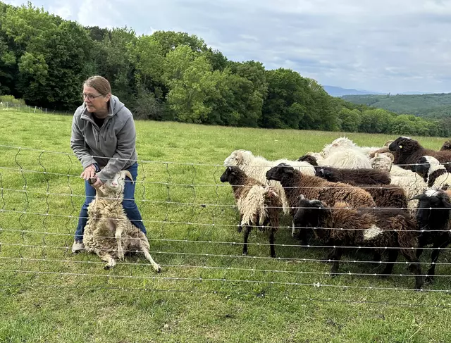 Die erfahrene Christa Veits freute sich, ihr Wissen über Beweidung und Naturschutz an die Kinder weiter zu geben. 
 | Foto: LPV/E. Weisz-Emesz
