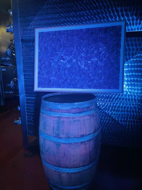 Foto: LT-Direktion NÖ / Schultes