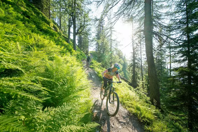 Im “Bikeland” Schladming-Dachstein erwarten Mountain- und E-Biker bereits 26 Touren, zwei Bikeparks und ein Singletrack mit insgesamt 67 Trail-Kilometern. 60 weitere Kilometer entstehen bis 2027. | Foto: Christoph Oberschneider