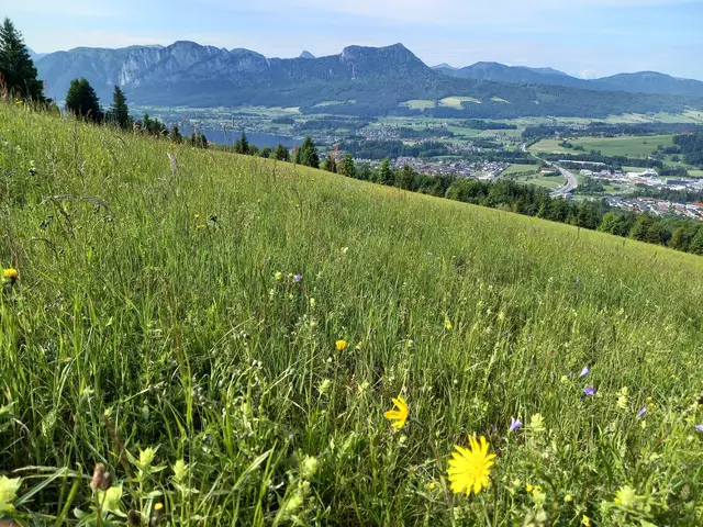 Blick auf Mondsee  | Foto: H.Bachinger 