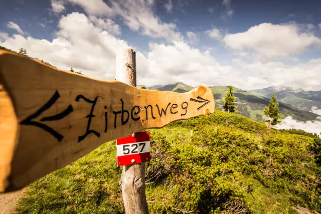 Ausgangspunkt ist die Graukogel Sessellift-Bergstation. Von dort führt ein beschilderter Rundweg durch die Welt der Zirbe. Zusätzlich bietet sich die Möglichkeit auf den Hüttenkogel mit seinem alten Baumbestand zu gehen. Gehzeit in etwa zwei Stunden. | Foto: TVB Bad Gastein