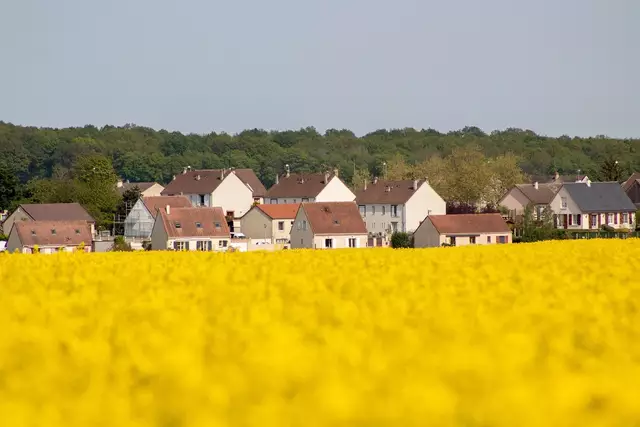 Laut aktuellen Zahlen ist die Anbaufläche österreichweit von rund 53.000 Hektar im Jahr 2014 auf nur noch 20.000 Hektar im Jahr 2025 gesunken – in Niederösterreich sogar von 30.500 auf nur mehr 11.000 Hektar. | Foto: Pixabay/Symbol