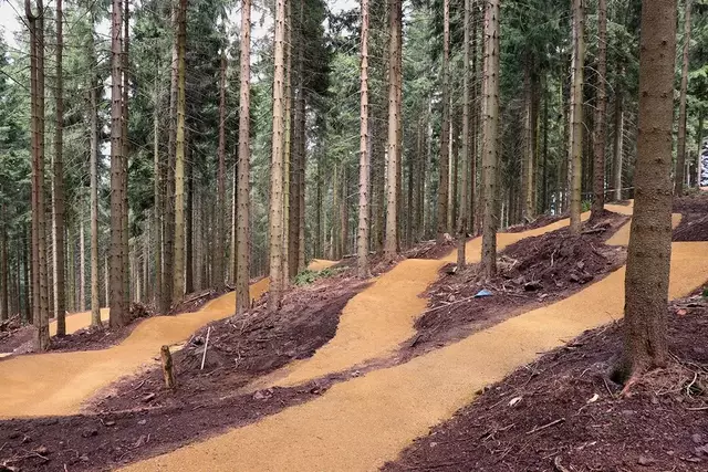 Der Unfall ereignete sich auf dem  "Family Flow Trail" | Foto: bikepark.de