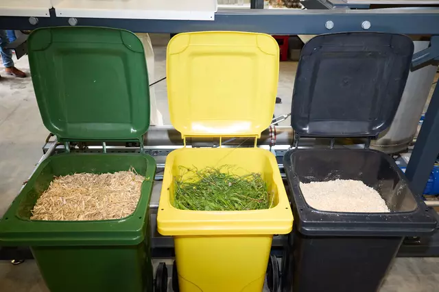 Holzreste, Grünschnitt und andere Abfälle können in Energie umgewandelt werden. | Foto: APA-Fotoservice FIEDLERPHOTO