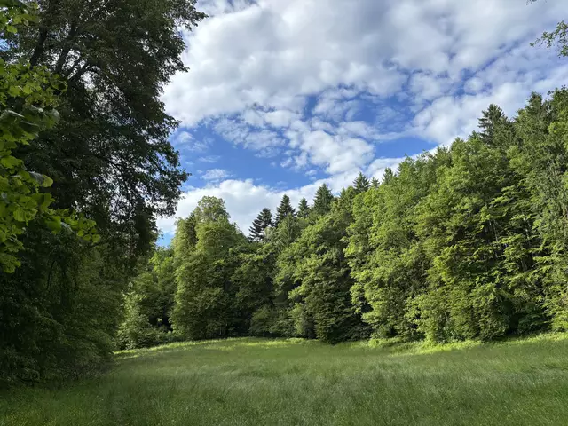 Symbolbild | Foto: BRS
