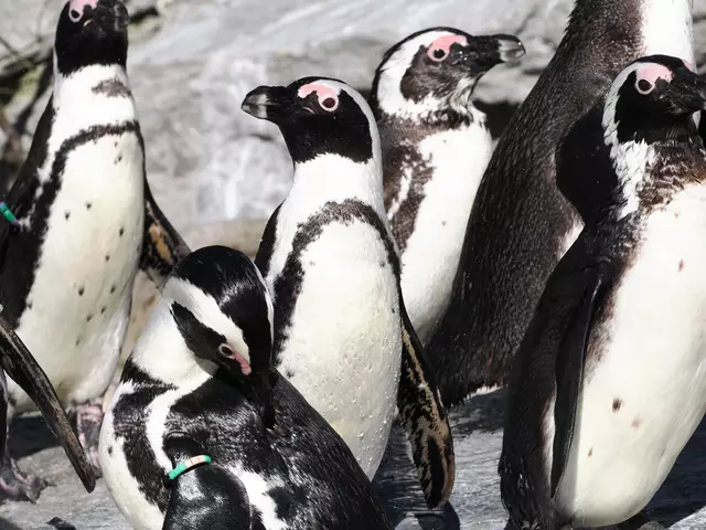 Foto: Foto: Angie Köppl