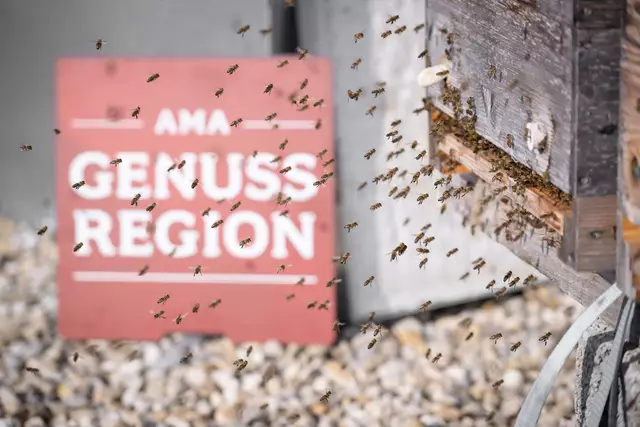 In der Hochsaison kommen in einem Stock bis zu 50.000 Bienen unter. | Foto: Paul Gruber