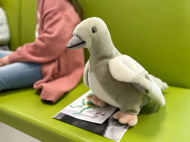 Foto: Andreas Pölzl/MeinBezirk