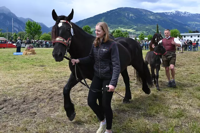 Die Stute Lissy von Brigitte Wildbichler trug die Nummer 154. 