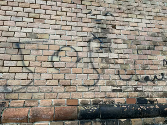 Foto: Antonio Šećerović/ MeinBezirk