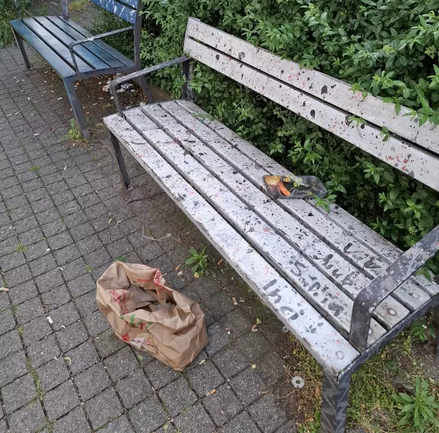 Speisereste locken vor allem Ratten in den Park.  | Foto: Kolbe