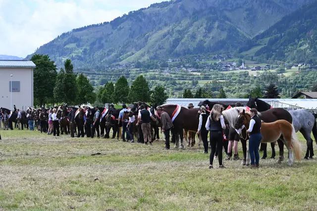 Alle Gewinner im Endring.