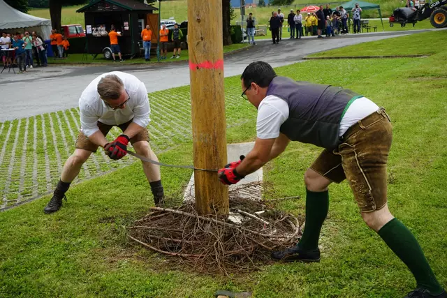 Bürgermeister Helmut Linhart und Vizebürgermeister Heimo Ortner sägten den Baum im Vorjahr um. | Foto: Stadtgemeinde Köflach