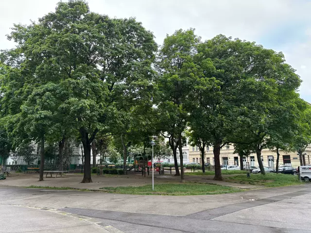 Foto: Antonio Šećerović/ MeinBezirk