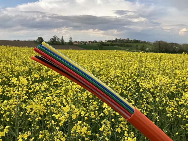 Glasfaser für Weyer. | Foto: BBOÖ