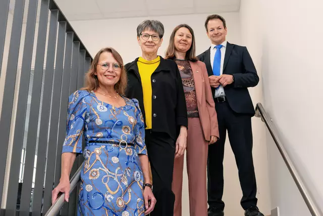 Die Rektorinnen und der Rektor der Pädagogischen Hochschulen, Verbund Süd-Ost Beatrix Karl (PH Steiermark), Andrea Seel (Private PH Augustinum), Sabine Weisz (Private PH Burgenland) und Sven Fisler (PH Kärnten) präsentierten die Schwerpunkte des neuen Studienplans für das Volksschullehramt.  | Foto: PH Stmk