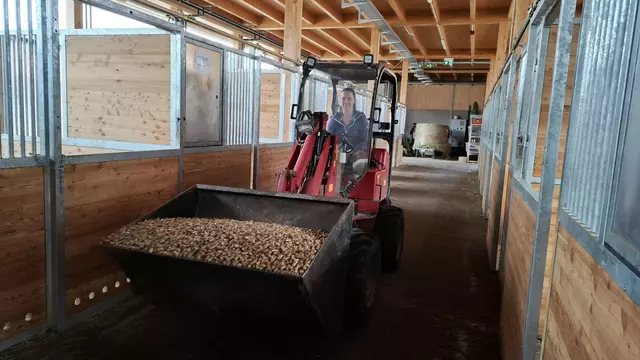 Sophia Quehenberger bei der Arbeit.  | Foto: Josef Wind