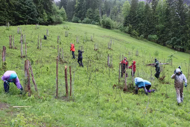 19 Freiwillige aus Österreich und Deutschland sind derzeit im Kaisertal im Einsatz. | Foto: Nimpf