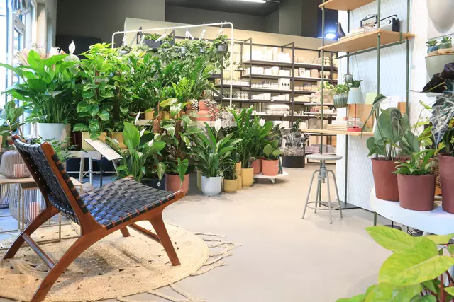 Bellaflora möchte auf dem DEZ-Gelände seine Produktvielfalt anbieten. Es fehlt die politische Zustimmung. | Foto: Peter Hautzinger / Bellaflora