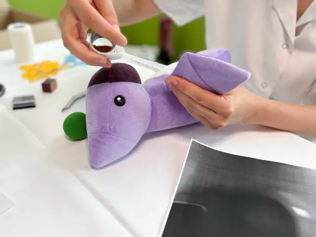 Foto: Andreas Pölzl/MeinBezirk