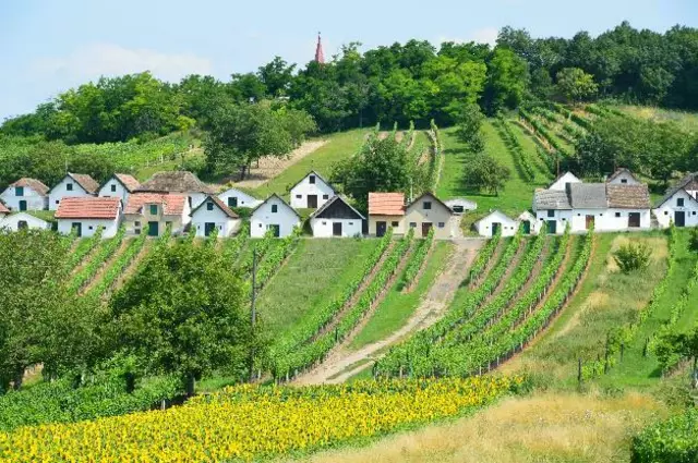 Kellergassen in Niederösterreich. | Foto: DORN/M. Staribacher