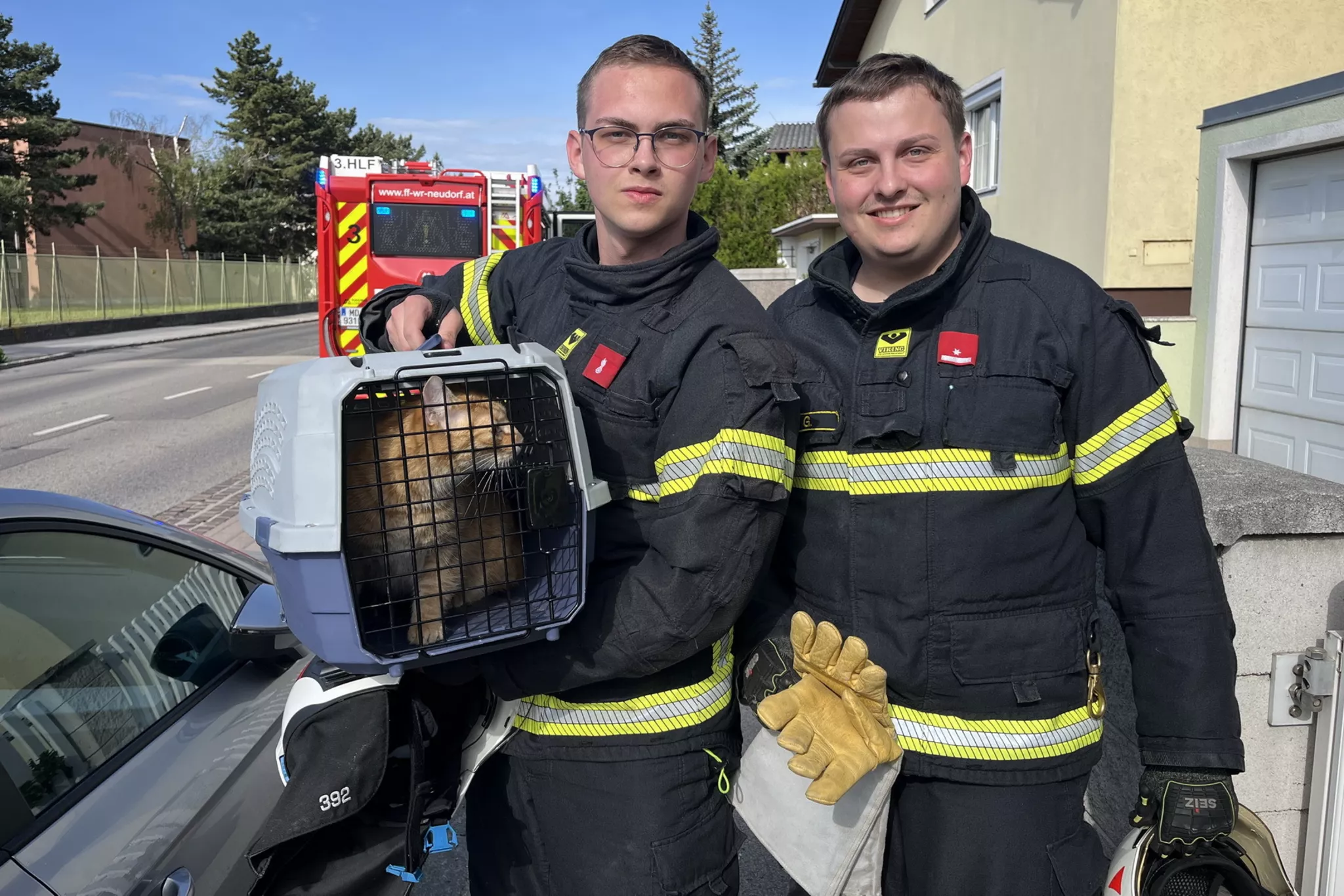 Tierrettung in Wiener Neudorf: Katze stürzt hinter Einbaukühlschrank - ...
