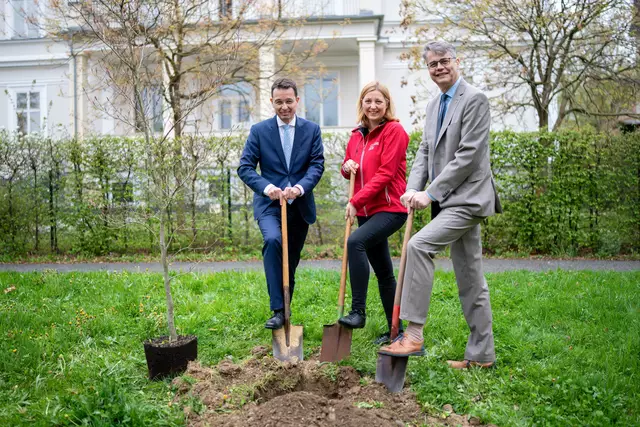Michael Axmann, Nora Tödtling-Musenbichler und Wolfgang Rehner (v. l.) bei der Baumpflanzung. | Foto: Caritas/Streif