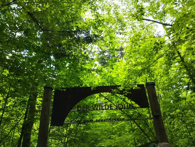 Eingang und Beginn des Themenweges  | Foto: Veronika Frank