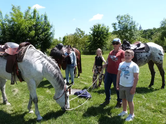Auch drei Pferde von der Family Ranch Frankenau unterhielten die Kids prächtig. 
