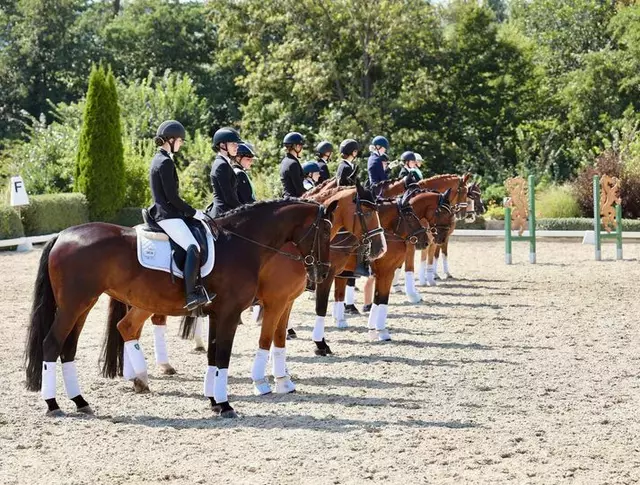 Landesmeister:innen 2024 - Nachwuchs | Foto: Hartberger Reitverein "RC Dressage Group Styria"