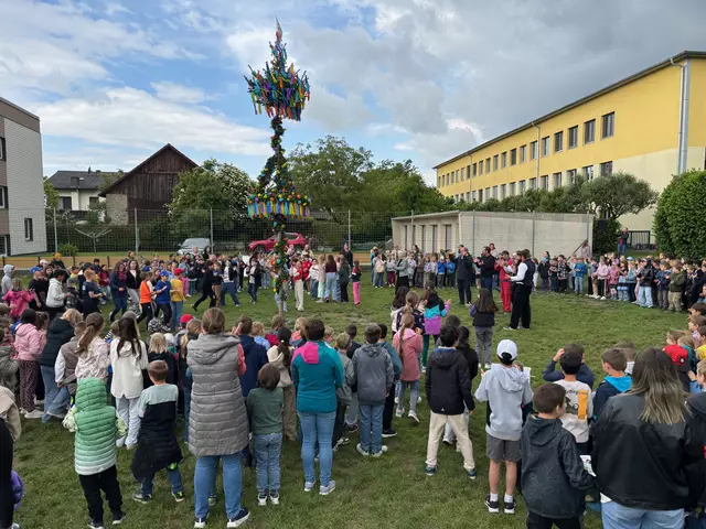 Bei der Volksschule Perg steht nun wieder ein bunt dekorierter Maibaum. | Foto: MeinBezirk Perg