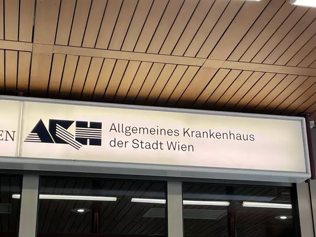 Eine leitende Ärztin am Allgemeinen Krankenhaus (AKH) Wien soll derzeit im Mittelpunkt interner Kritik stehen. (Archiv) | Foto: Antonio Šećerović/RMW