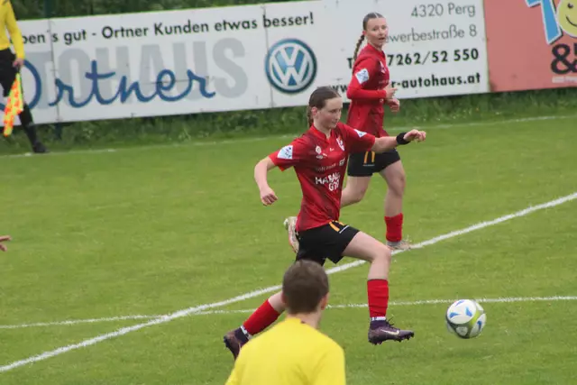 Foto: Meinbezirk Perg/Köck