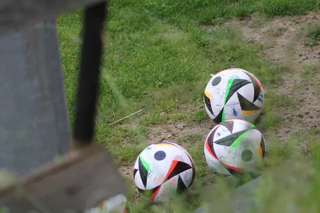 Foto: Meinbezirk Perg/Köck