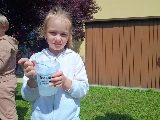 Ein buntes Freizeitprogramm für Groß und Klein erwartete die Besucherinnen und Besucher am Wochenende am Schulgelände der Mittelschule Sieghartskirchen. | Foto: Birgit Schmatz