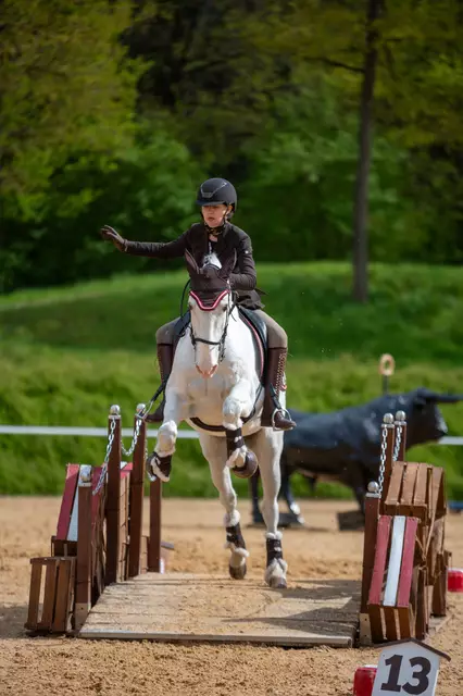 Mit seinem Working-Equitation-Turnier landet das Pferdezentrum Stadl-Paura im internationalen Vergleich weltweit prompt weltweit auf Platz eins. | Foto: Pferdezentrum Stadl-Paura