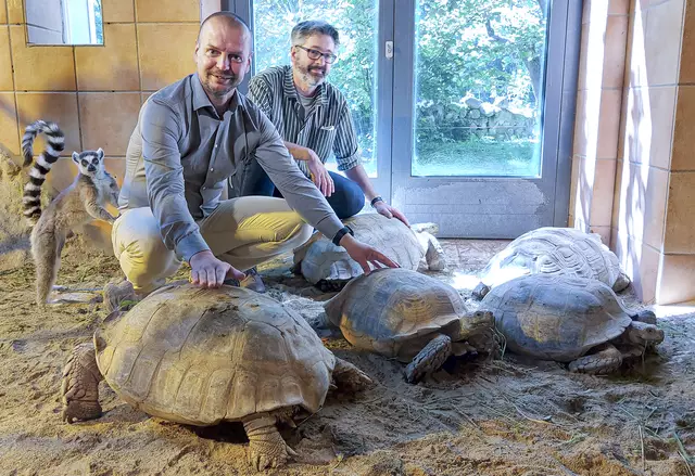 Die Schildkröten und Kattas werden bis Sommer 2025 ein komplett renoviertes und ausgebautes Zuhause im Welser Tiergarten bekommen. | Foto: Stadt Wels