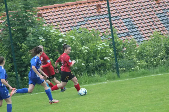 Foto: Meinbezirk Perg/Köck